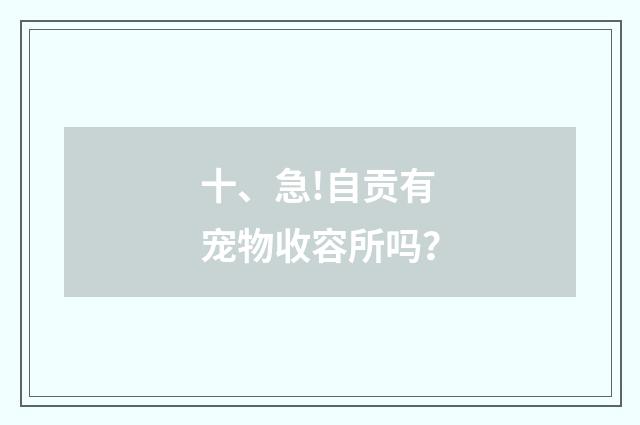 十、急!自贡有宠物收容所吗？