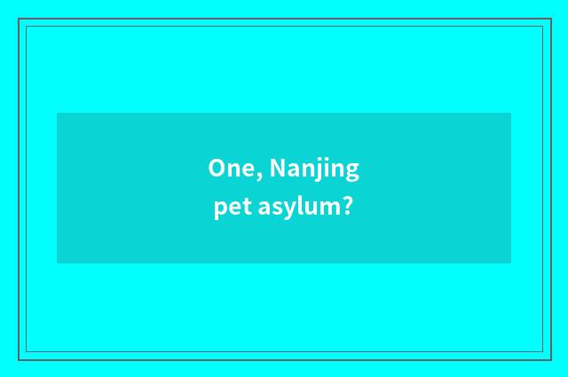One, Nanjing pet asylum?