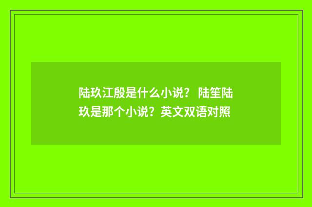 陆玖江殷是什么小说？ 陆笙陆玖是那个小说？英文双语对照