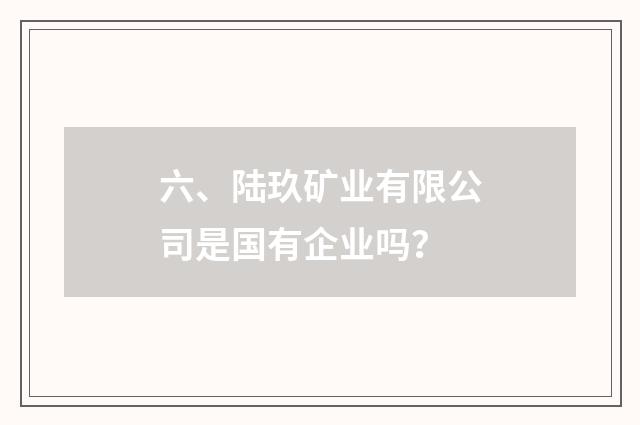 六、陆玖矿业有限公司是国有企业吗？
