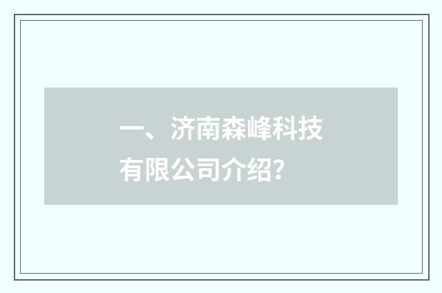 一、济南森峰科技有限公司介绍？