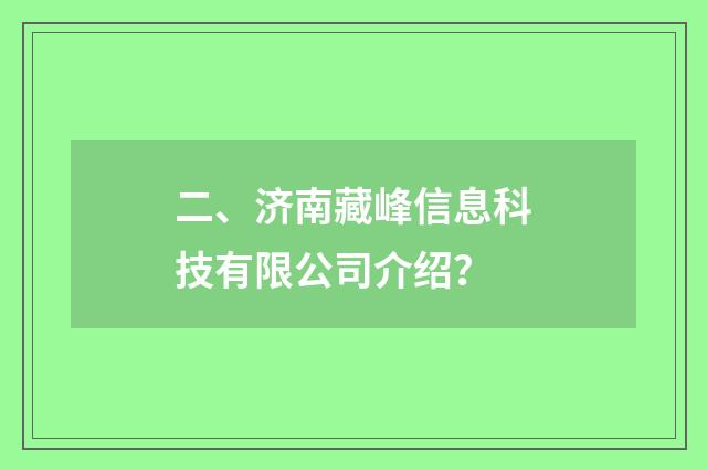 二、济南藏峰信息科技有限公司介绍？