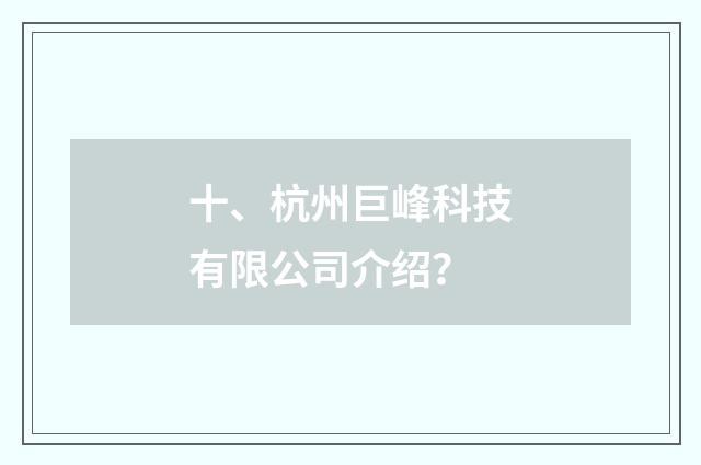 十、杭州巨峰科技有限公司介绍？