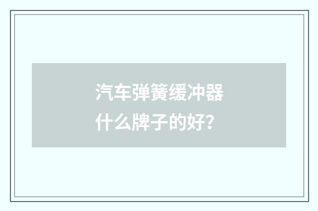 汽车弹簧缓冲器什么牌子的好？