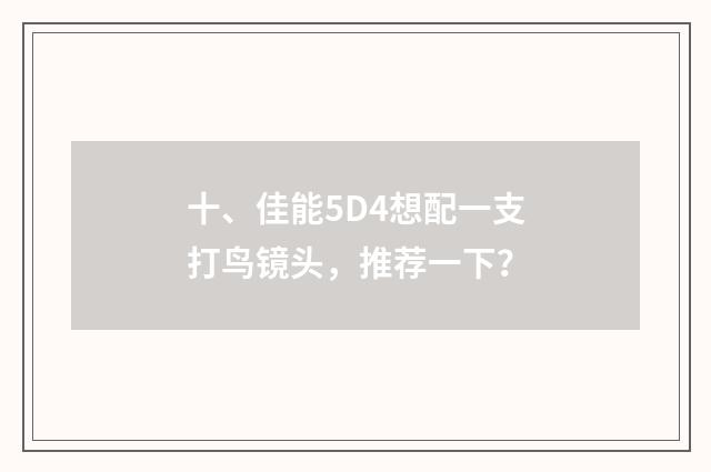 十、佳能5D4想配一支打鸟镜头，推荐一下？