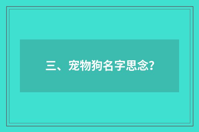 三、宠物狗名字思念？