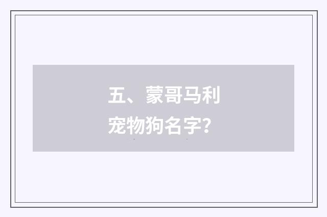 五、蒙哥马利宠物狗名字?