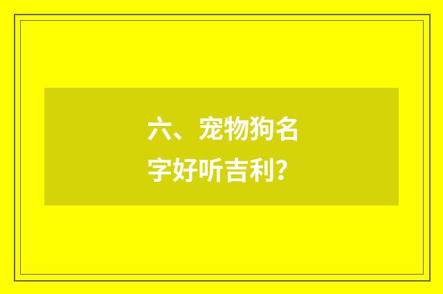 六、宠物狗名字好听吉利？