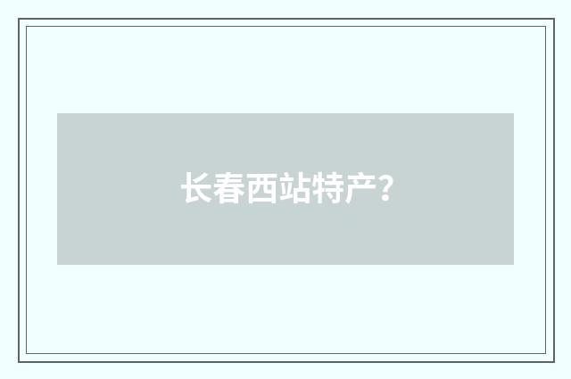 长春西站特产？