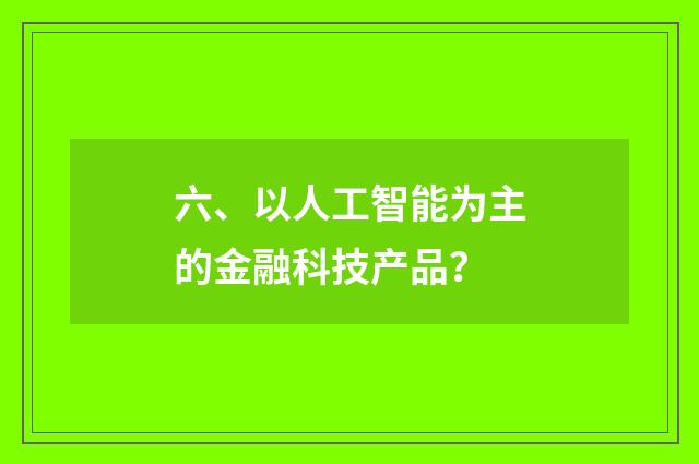 六、以人工智能为主的金融科技产品？
