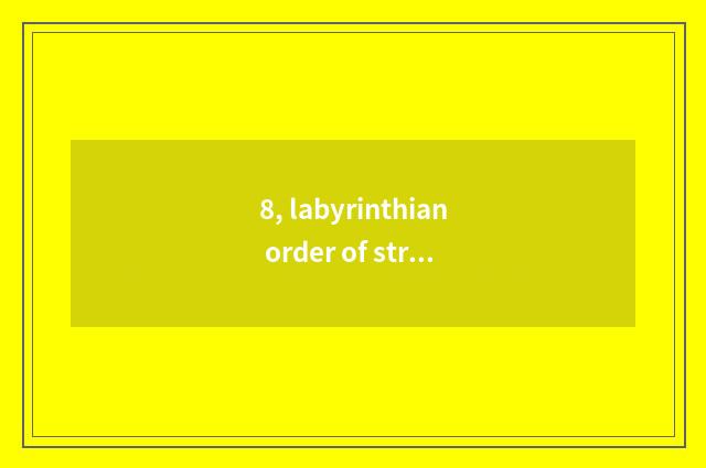 8, labyrinthian order of strokes?