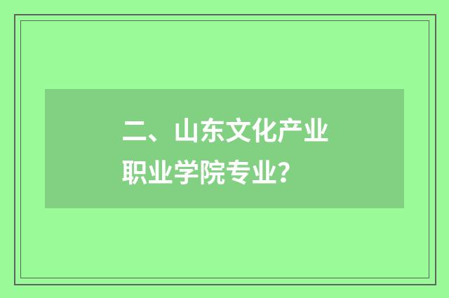 二、山东文化产业职业学院专业？