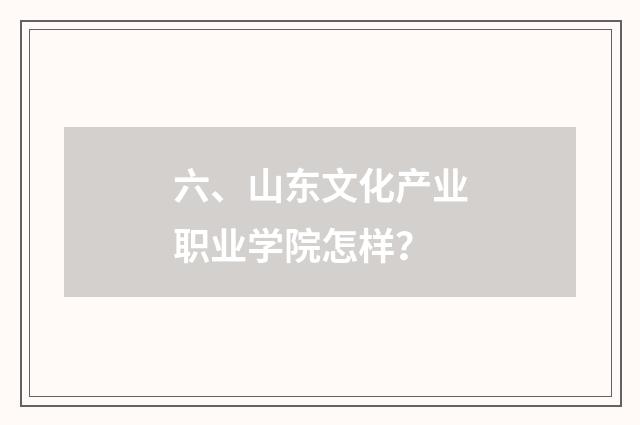 六、山东文化产业职业学院怎样？