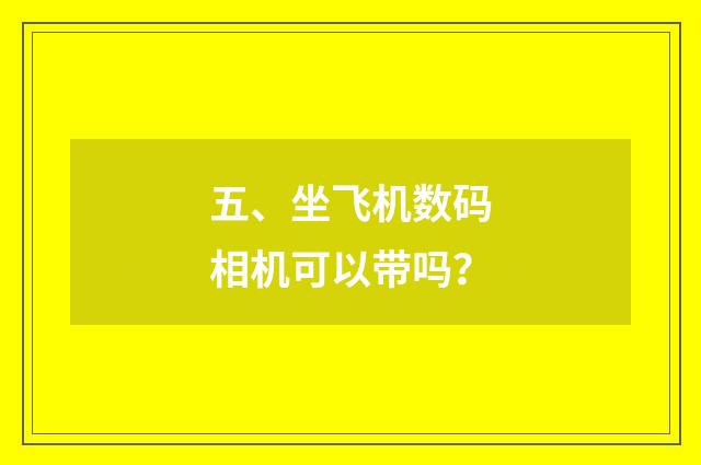 五、坐飞机数码相机可以带吗?
