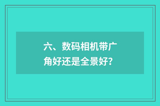 六、数码相机带广角好还是全景好？