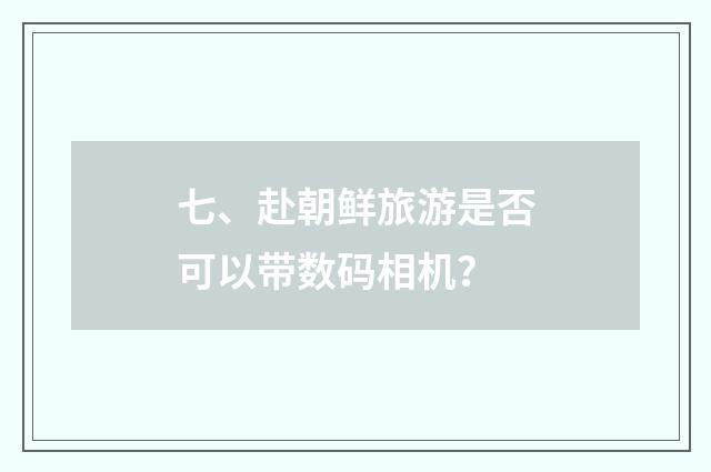七、赴朝鲜旅游是否可以带数码相机？