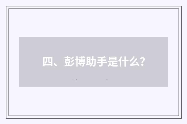 四、彭博助手是什么？