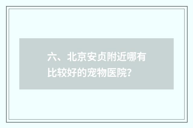 六、北京安贞附近哪有比较好的宠物医院？