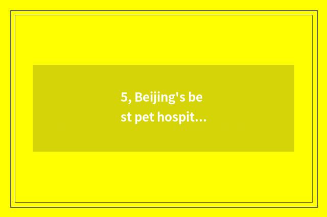 5, Beijing's best pet hospital?