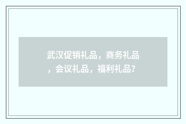 武汉促销礼品，商务礼品，会议礼品，福利礼品？