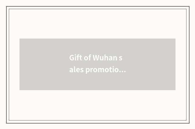 Gift of Wuhan sales promotion, business affairs gift, conference gift, welfare g