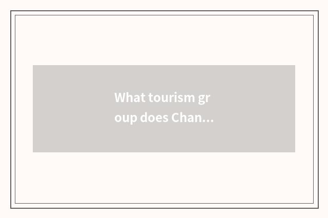 What tourism group does Changchun travel agent have now?