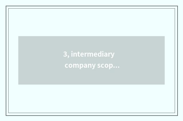 3, intermediary company scope of operations and scope of operations of buy estat