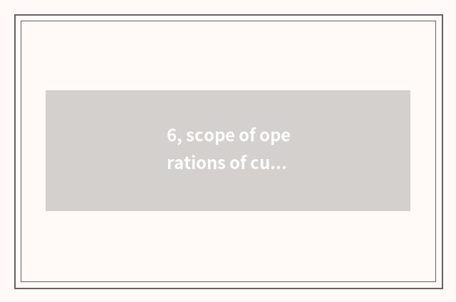 6, scope of operations of customer service company?