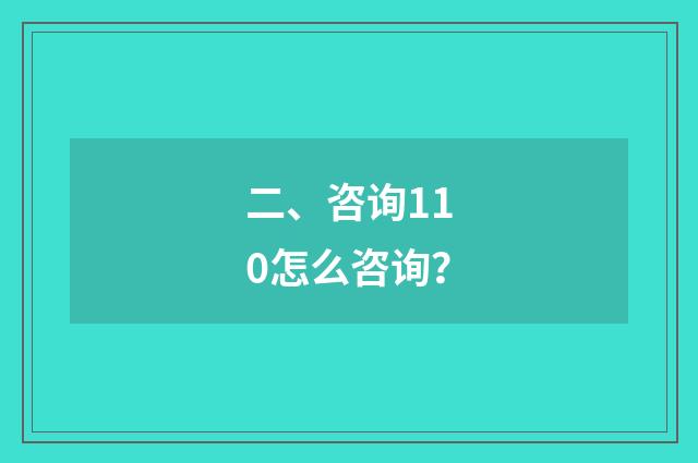 二、咨询110怎么咨询？