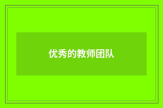 优秀的教师团队