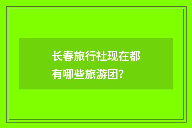 长春旅行社现在都有哪些旅游团？