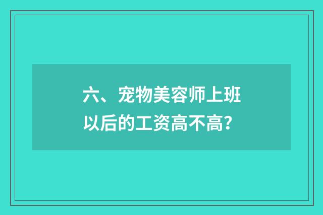 六、宠物美容师上班以后的工资高不高？
