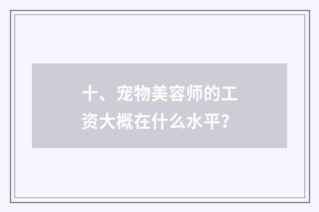 十、宠物美容师的工资大概在什么水平？