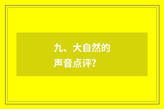九、大自然的声音点评？