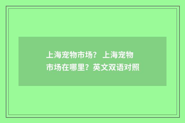 上海宠物市场？ 上海宠物市场在哪里？英文双语对照