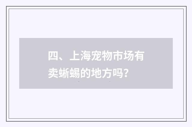 四、上海宠物市场有卖蜥蜴的地方吗？