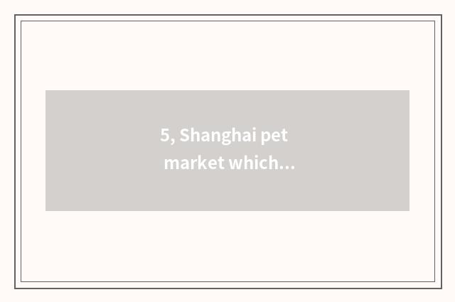 5, Shanghai pet market which are good? Shanghai compares big pet things market, 