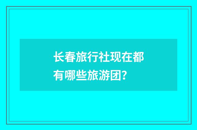 长春旅行社现在都有哪些旅游团？