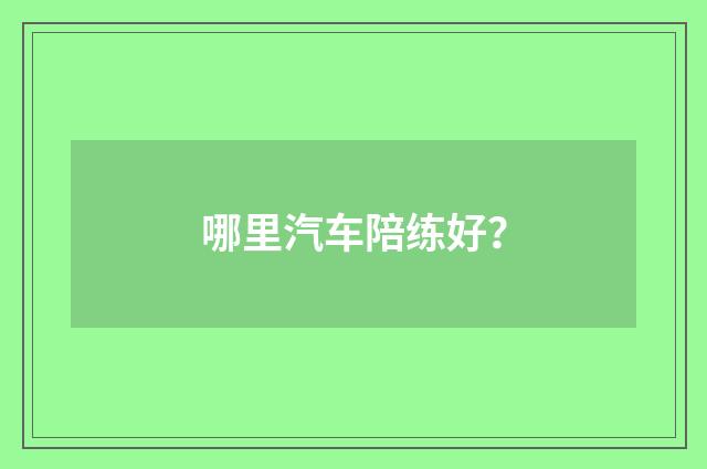 哪里汽车陪练好？