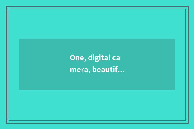 One, digital camera, beautiful can Sx120 is compared, beautiful can IXUS 95 IS w
