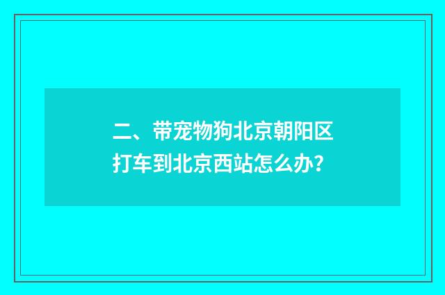 二、带宠物狗北京朝阳区打车到北京西站怎么办？