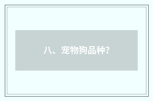 八、宠物狗品种？