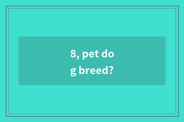 8, pet dog breed?