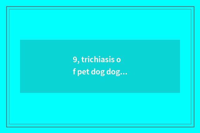 9, trichiasis of pet dog dog?