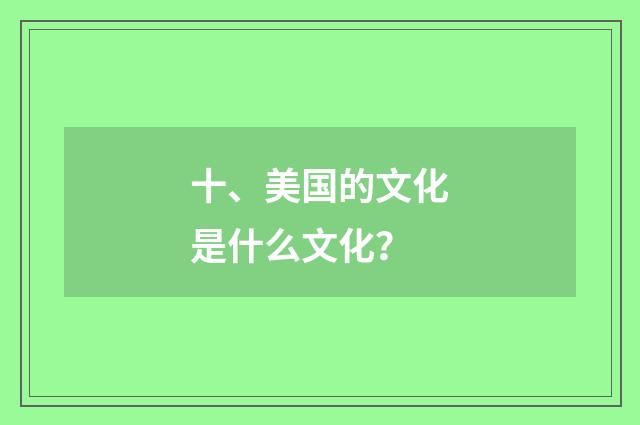 十、美国的文化是什么文化?