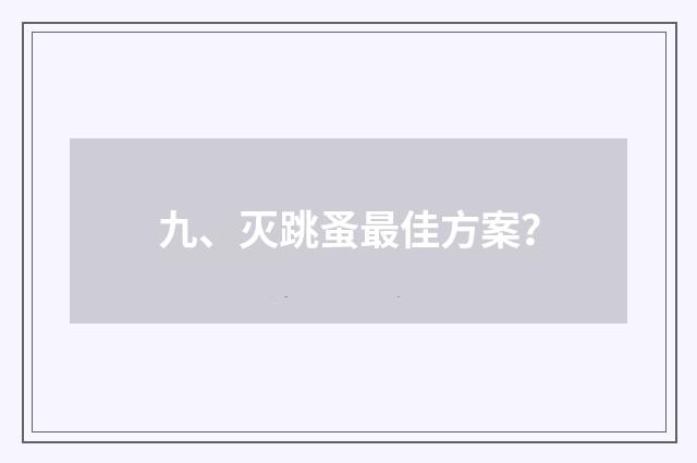 九、灭跳蚤最佳方案？