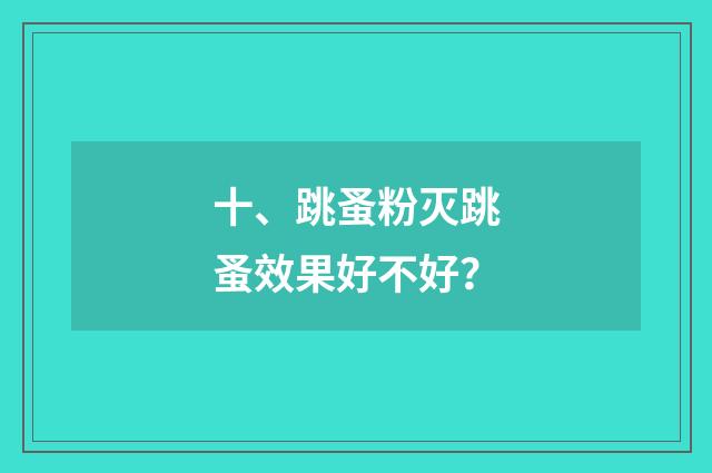 十、跳蚤粉灭跳蚤效果好不好？