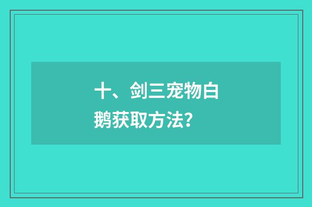 十、剑三宠物白鹅获取方法？