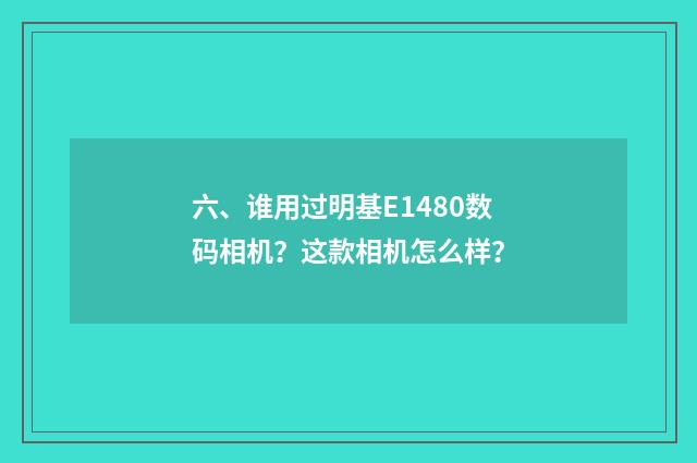 六、谁用过明基E1480数码相机？这款相机怎么样？