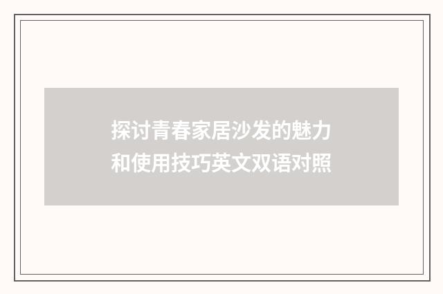 探讨青春家居沙发的魅力和使用技巧英文双语对照